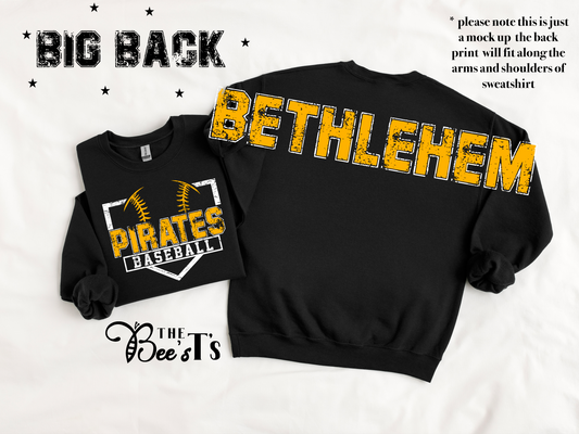 Bethlehem big back