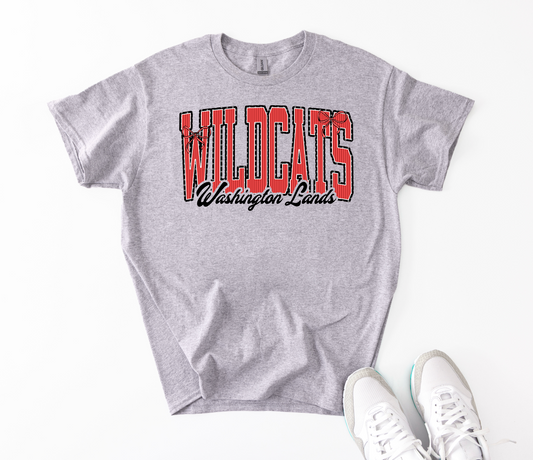 WLES Gray 2