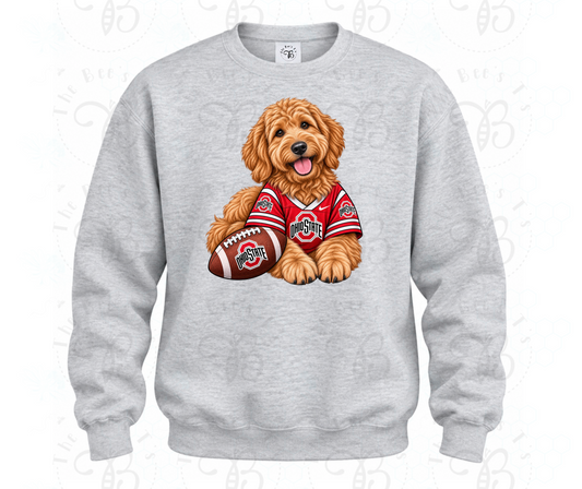 OH golden doodle