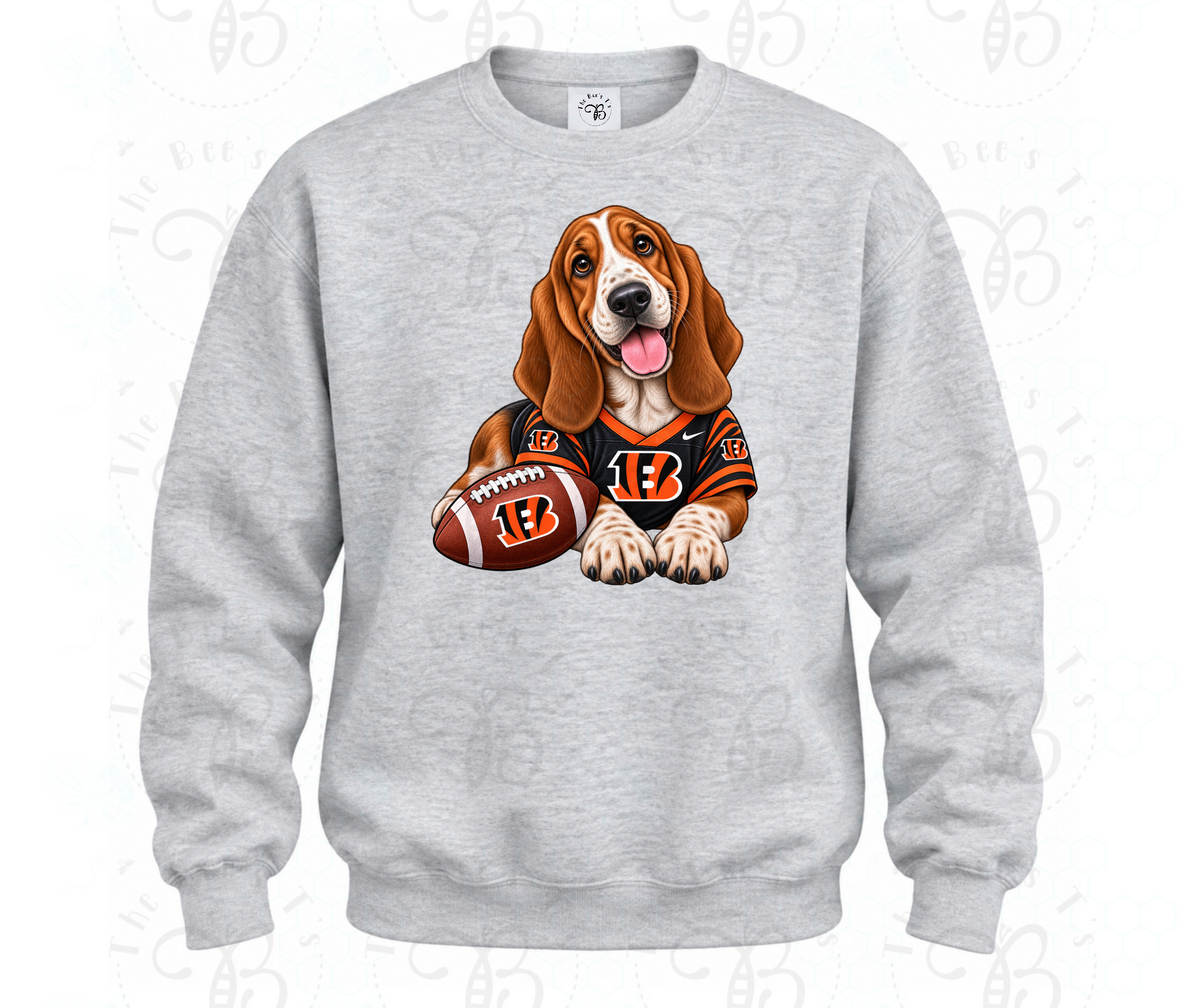 Cincinnati Basset hound