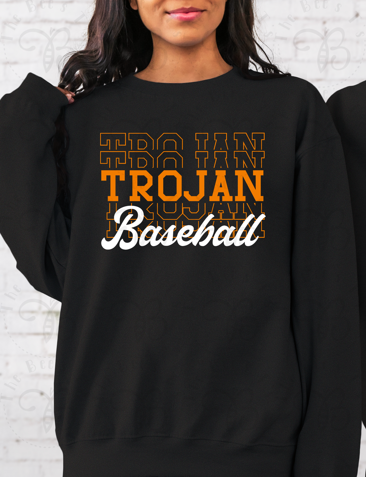 Trojan Baseball 2