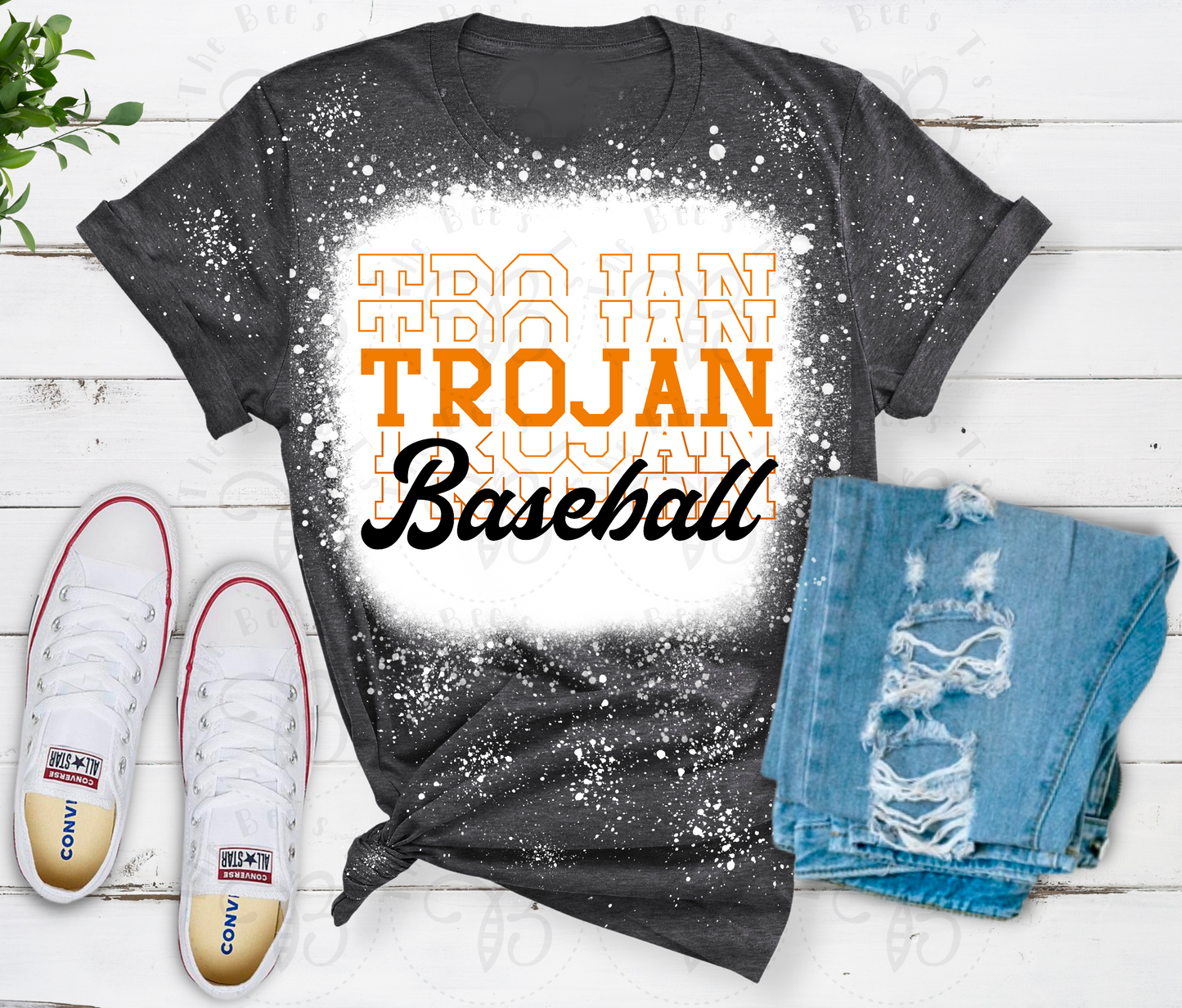 Trojan Baseball 2