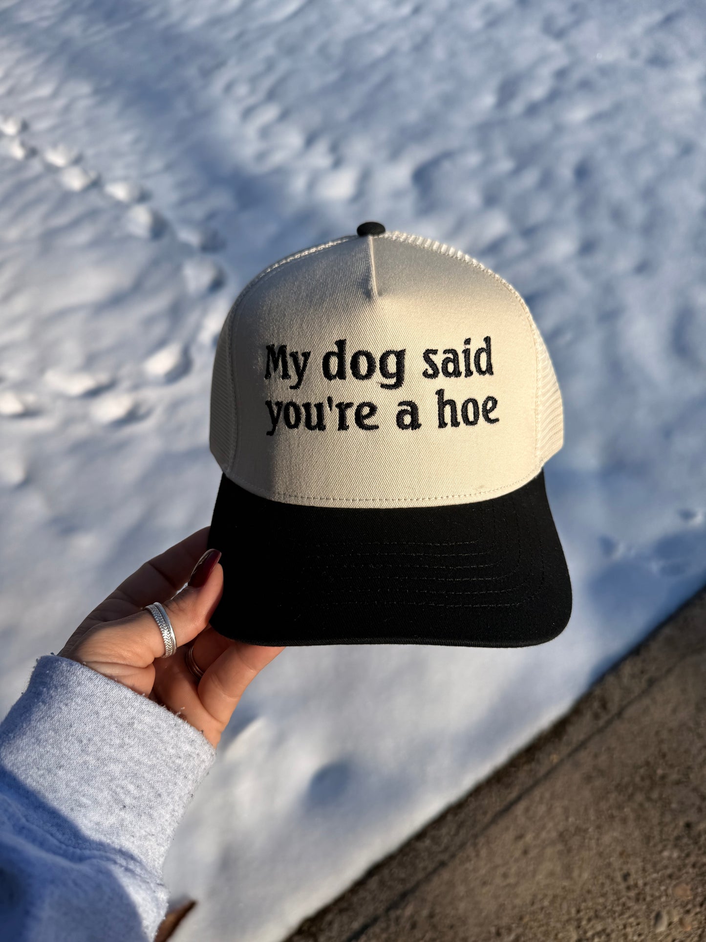 My dog said